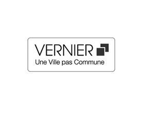 10 Vernier
